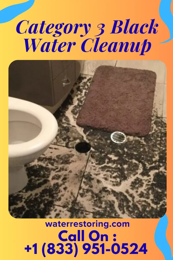 Category 3 Black Water Cleanup in Pavo, GA