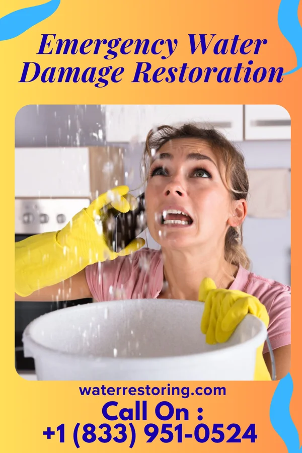 Emergency Water Damage Restoration in Pavo, GA