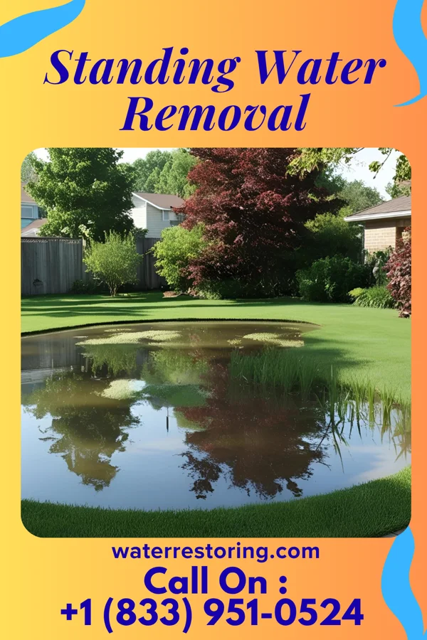 Standing Water Removal in Pavo, GA